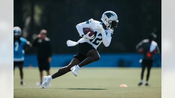 carolina panthers training camp