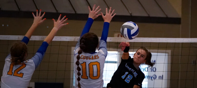 Stanbery, Pastusic combine for 35 kills in Watauga season-opening sweep