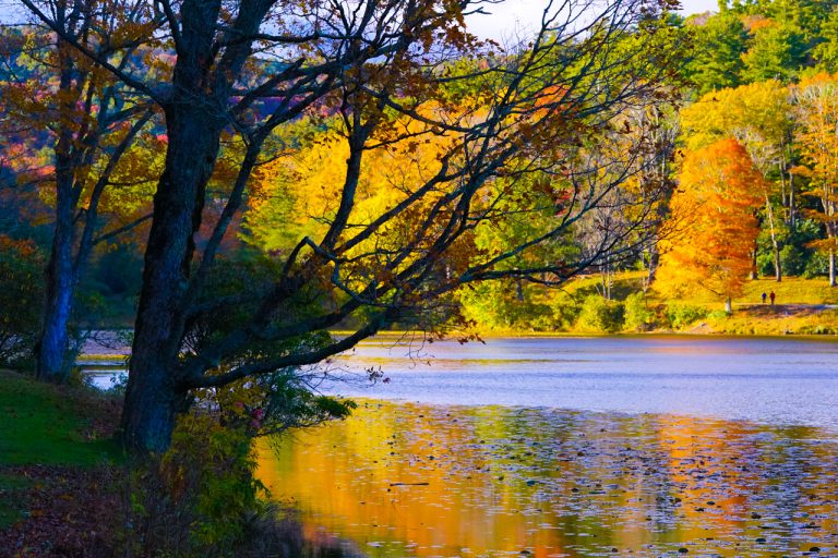 An autumn adventure around Bass Lake