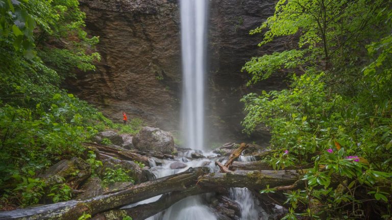 Docs Gone Wild: High Country’s first Wilderness Medicine Conference set for June