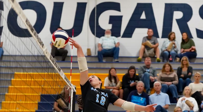 Pastusic, Smith lead Watauga sweep of Alexander Central, 3-0